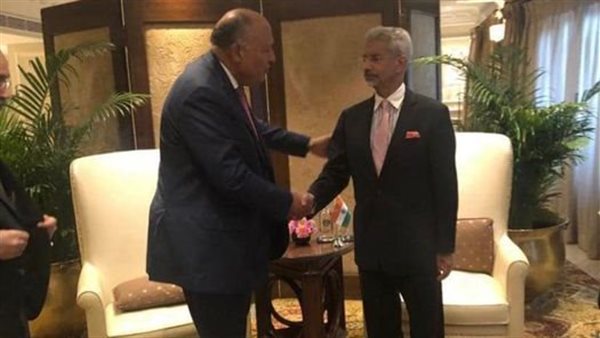 وزير الخارجية يلتقي