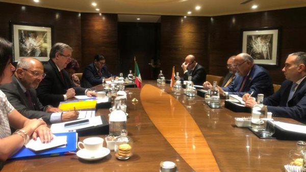 شكري يلتقي وزير خارجية