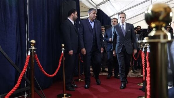 رئيس منظمة الطاقة