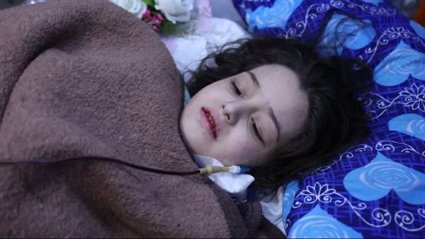 الطلقة السورية شام