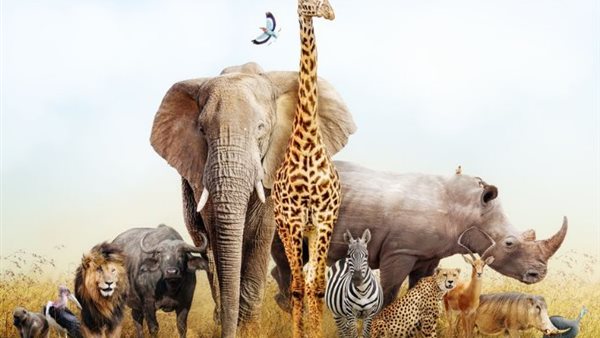 اليوم العالمي للأحياء