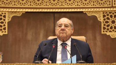 رئيس مجلس الشيوخ: لماذا لا نُيسر مشاهدة المسرحيات على المواطنين؟