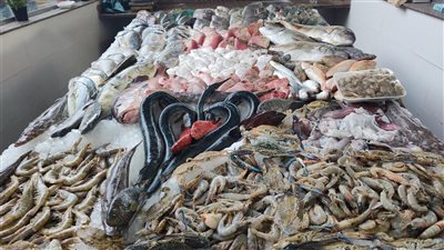 الكشر بـ70 جنيها والشعور بـ200.. إقبال على الشراء داخل حلقة السمك الجديدة بالغردقة