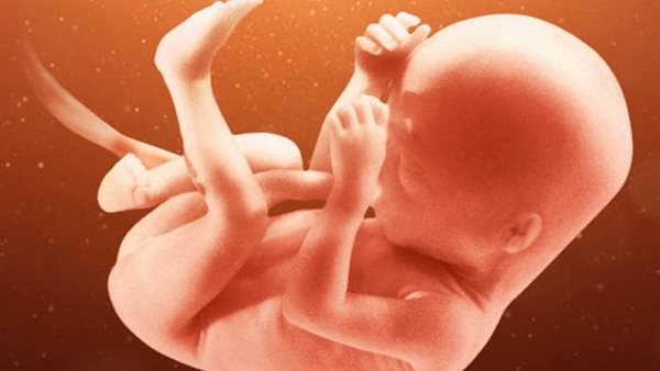  دعاء لحفظ الجنين