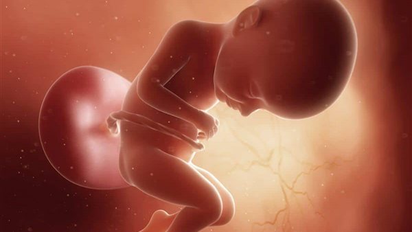 دعاء تحصين الجنين