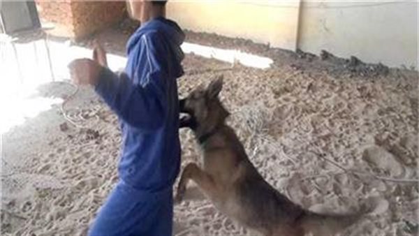 عقر مواطن - تعبيرية