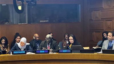 مايا مرسي: العنف السيبراني يؤثر بشكل كبير على التقدم المحرز في أجندة تمكين المرأة