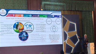 أيمن عاشور: تنفيذ محاور الاستراتيجية الوطنية للتعليم العالي مسؤولية كبيرة على الجميع