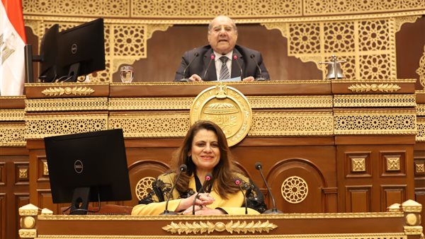 وزيرة الهجرة في البرلمان