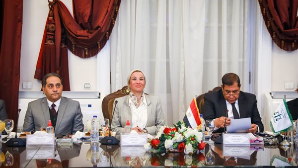 رئيس مجلس الدولة