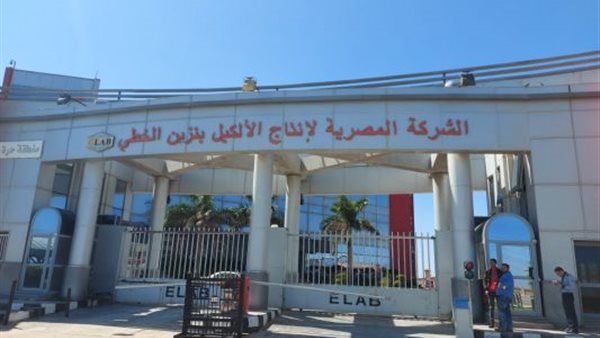 الشركة المصرية لإنتاج