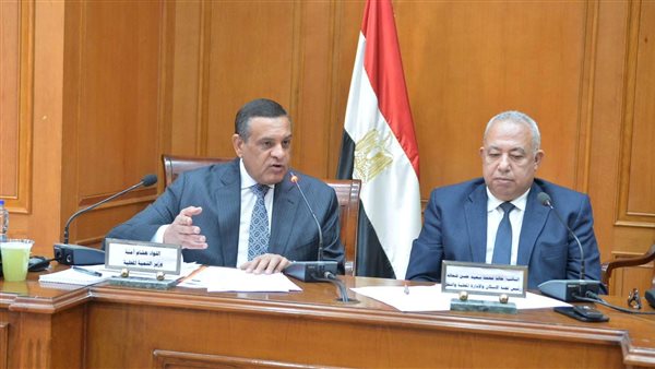 وزير التنمية المحلية