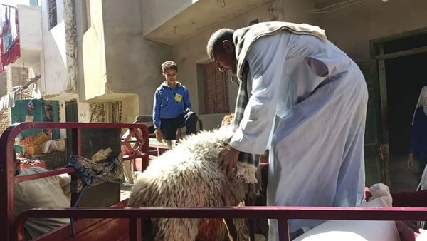 مشروعات فرصة