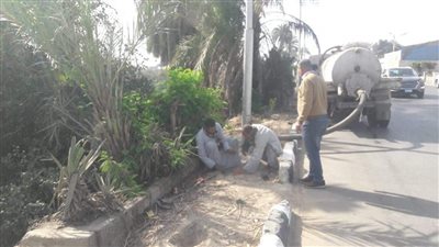 الوحدات المحلية بالمنيا تواصل تنفيذ فعاليات مبادرة 100 مليون شجرة