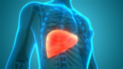 نصائح للحفاظ على صحة الكبد.. تعرف عليها