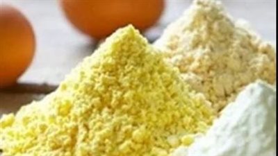 بيطري القاهرة توضح طريقة عمل البيض البودرة واستخداماته