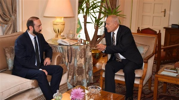 أحمد أبو الغيط ووزير