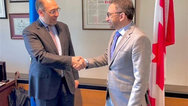 السفير المصري لدى