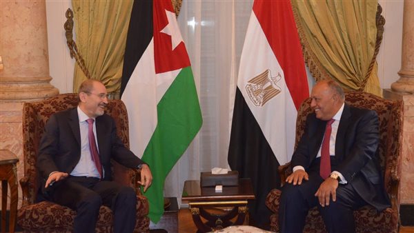 سامح شكري وزير الخارجية