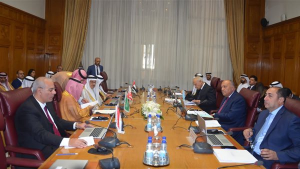 وزير الخارجية يترأس