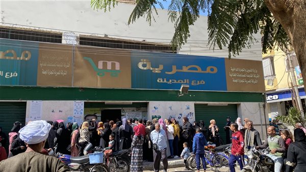 شركة مصرية بالأقصر