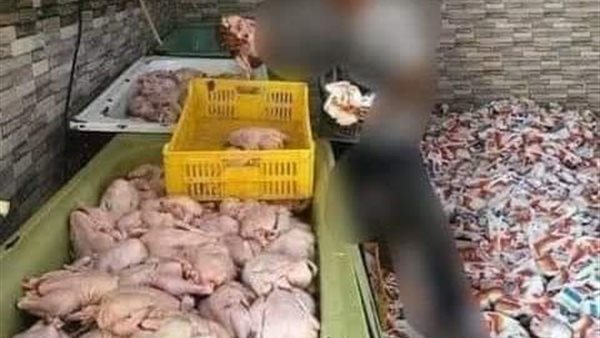 دواجن مجمدة تباع