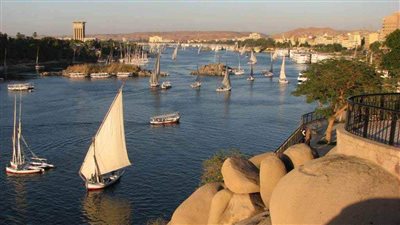 حكايات من دفتر نساء الصعيد عن ختان الإناث.. عفة أم أفكار رجعية؟