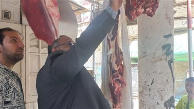 لحوم فاسدة وسرنجات غير صالحة للاستخدام …تحرير 99 محضرًا بالمخالفات التموينية بالدقهلية