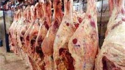 تجاوزت 69 مليون جنيه.. الأوقاف: 100% ارتفاعًا في صكوك الإطعام 2023