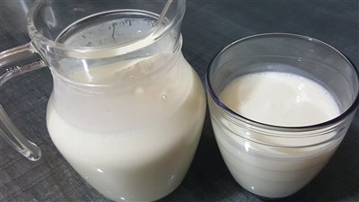 كيف أصنع اللبن الرائب في المنزل؟.. خطوات سهلة وسريعة