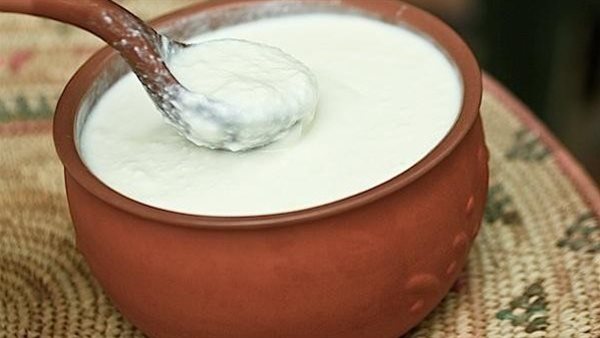 طريقة عمل اللبن الرايب