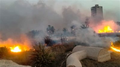 حريق داخل أرض زراعية بالإسماعيلية.. والدفع بـ5 سيارات إطفاء للسيطرة على النيران