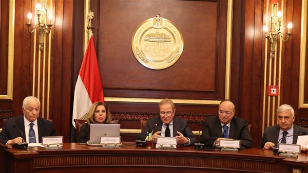 جانب من لقاء المجلس