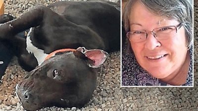 بعد احتضانه بـ منزلها.. كلب يقتل سيدة في إسبانيا