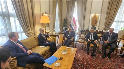 وزير الخارجية يؤكد أهمية إحياء العملية السياسية وتسوية الأزمة في سوريا