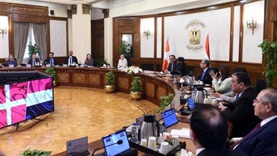 رئيسا وزراء مصر والدنمارك يترأسان جلسة مباحثات موسعة.. ومدبولي: توسيع نطاق العمل بمشروعات الطاقة المتجددة