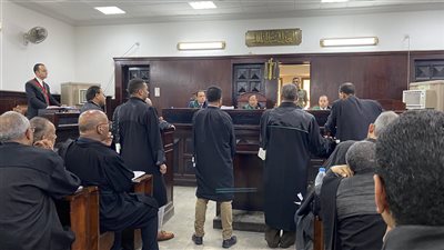 تأجيل محاكمة 4 متهمين بخلية الزيتون لجلسة 29 أبريل للمرافعة