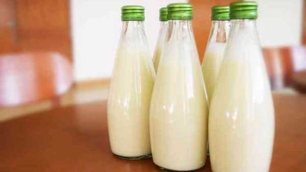 طريقة عمل اللبن الرايب