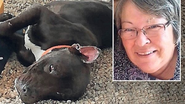 كلب يقتل سيدة