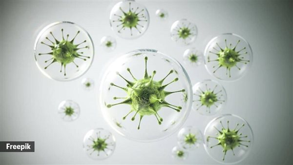 فيروس H3N2 ـ أرشيفية