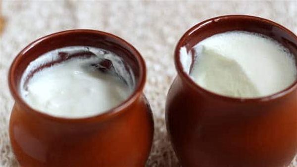 كم عدد ساعات تخمير