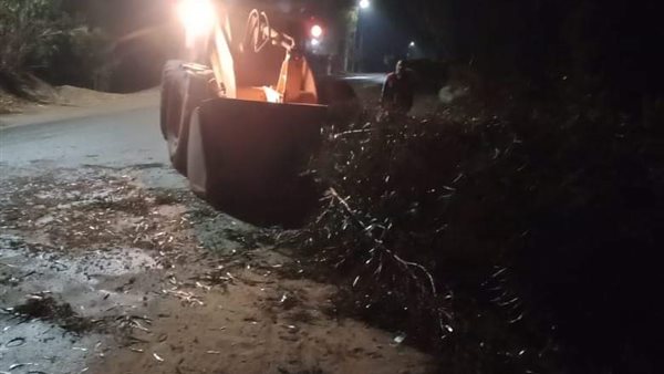 سقوط أشجار بالمنوفية