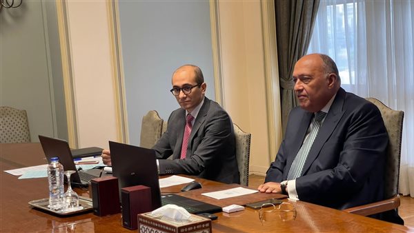 وزير الخارجية يشارك