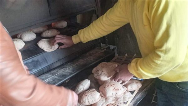 حملات تفتيشية بالمنيا