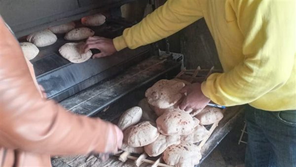 حملات تفتيشية بالمنيا