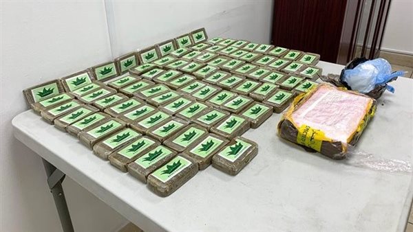 مخدر الحشيش _ أرشيفية