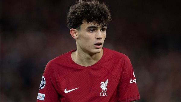 ستيفان بايتشيتش