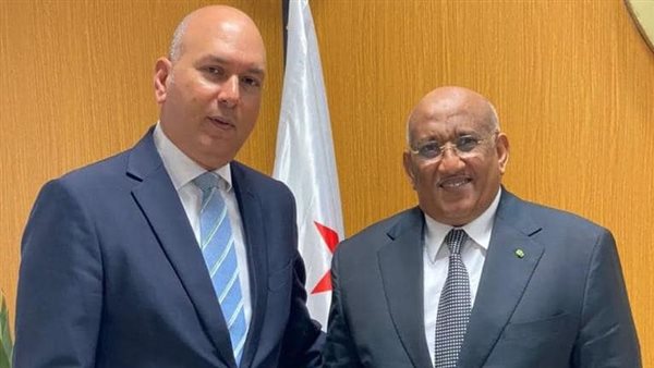 السفير المصري في