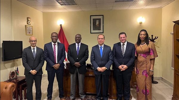 سفير مصر لدى جنوب