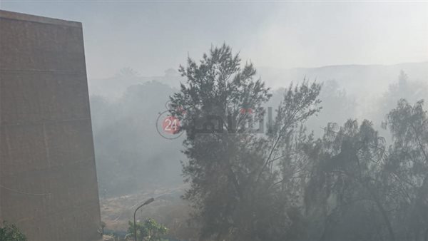 حريق مزرعة مانجا